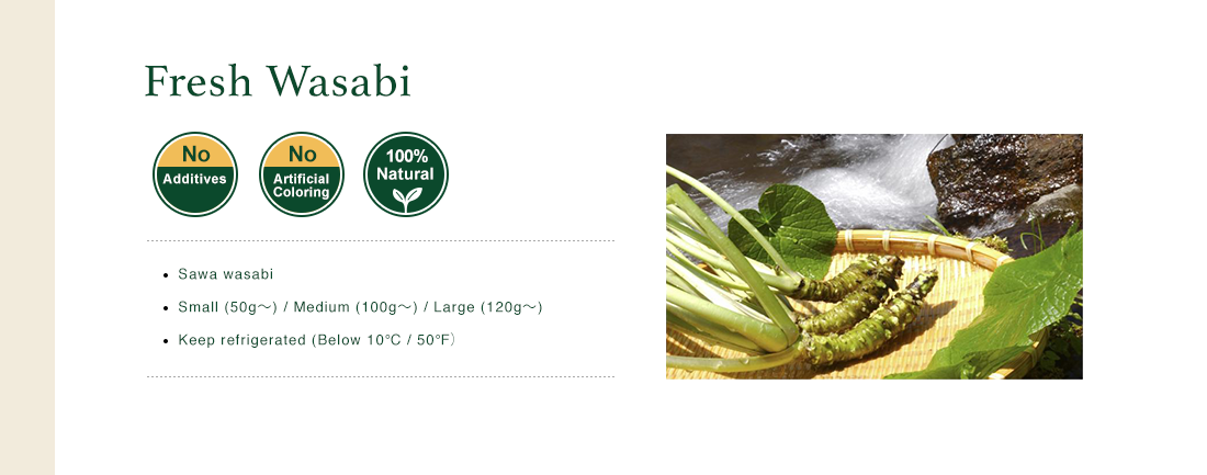 Fresh Wasabi | No Additives - No Artificial Coloring | 100% Natural | Sawa wasabi | Small (50g〜) / Medium (100g〜) / Large (120g〜) | Keep refrigerated (Below 10℃ / 50℉）