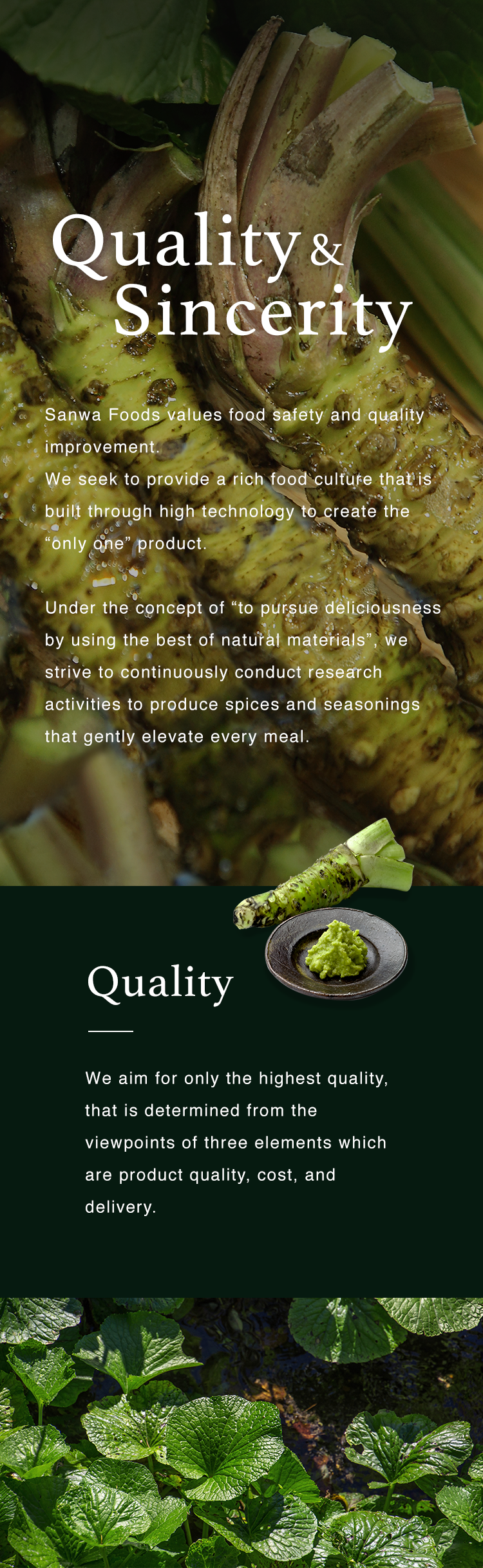 Quality & Sincerity - Sanwa Foods values food safety and quality improvement. We seek to provide a rich food culture that is built through high technology to create the “only one” product. Under the concept of “to pursue deliciousness by using the best of natural materials”, we strive to continuously conduct research activities to produce spices and seasonings that gently elevate every meal.
