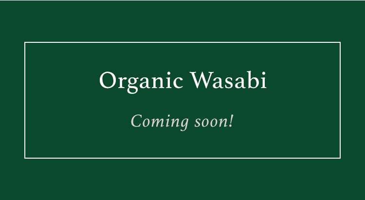Organic Wasabi | Coming soon!